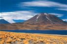 Full Day Trip to Atacama Salt Flat and Altiplanic Lagoons