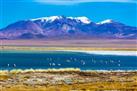 Toconao Village and the Atacama Salt Flat