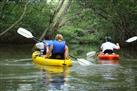 Mangrove and Estuary Tour on Kayaks