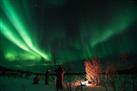 Arctic Experience Tromso