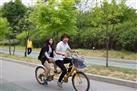 Seoul City Sightseeing by Bike and Foot