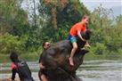 Khao Yai National Park and Elephant Ride Day Trip