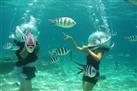 Under Water Walk in Baina Beach