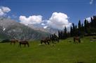 Khilanmarg