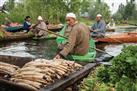 Floating Vegetable Market