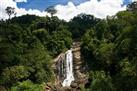 Cheeyappara Waterfalls