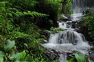 Chethalayam Waterfalls