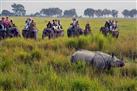 Kaziranga Wildlife Sanctuary