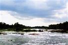 Lohitya maha sangam - 9 river meeting point at Dibru saikhowa biosphere reserve