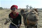 Thar Camel Safari