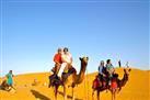 Desert Safari in Jaisalmer