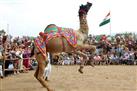 Pushkar Fair