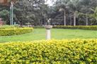 Cubbon Park