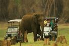 Nagarhole National Park