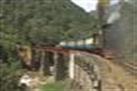 Nilgiri Mountain Railway Ride