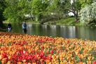 Silk Farm and Rose Garden