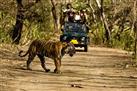 Jim Corbett National Park