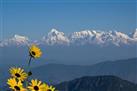 Snow View Point