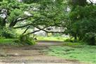 Sanjay Gandhi National Park