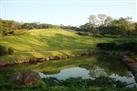 Pune-Okayama Friendship Garden