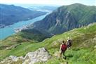 Mount Roberts Trail