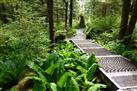 Butze Rapids Park and Trail