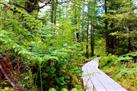 Metlakatla Wilderness Trail