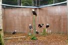 Prince Rupert Wildlife Rehab Shelter