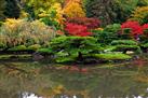 Washington Park Arboretum