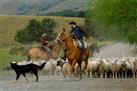 Visit an Old Traditional Patagonian Homestead Ranch - El Galpon del Glaciar