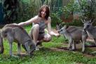 Cairns Wildlife Tour