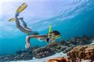 Guided Snorkel Tours