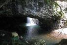 Glow Worm Cave and Natural Bridge Tour