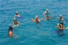 Tallship Sailing and Snorkeling Adventure