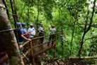 Canopy Zipline and Cave-Tubing Adventure