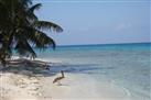 Laughing Bird Caye National Park