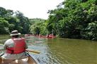 Belize River Canoeing from San Ignacio