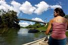 Macal River Canoeing and Rainforest Medicinal Trail