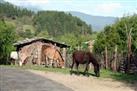 Thrumshingla National Park