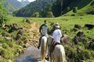 Ecological Horseback Riding