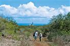 Trekking in Fernando de Noronha