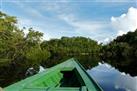 Manaus Ayahuasca Ceremony - Full Day Trip