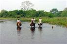 horseback ride