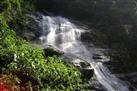 Tijuca National Park