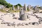 The Stone Forest