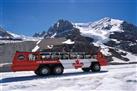 Columbia Icefield Tour including the Glacier Skywalk from Banff