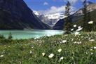 Mountain Lakes and Waterfalls Day Trip from Banff