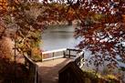 Gatineau Park