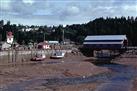 Fundy Coast to Fundy Shore Tour