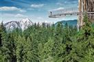 Capilano Suspension Bridge